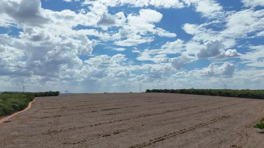 Fazenda/Sítio à venda, 8m² no Área Rural de Morrinhos, Morrinhos