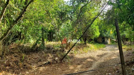 Lote/Terreno à venda, 7963m² no Serra Grande, Niterói
