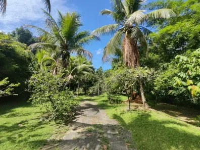 Fazenda/Sítio com 2 Quartos à venda, 3000m² no Centro (Sambaetiba), Itaboraí