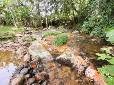 Fazenda/Sítio com 4 Quartos à venda, 80550m² no Zona Rural, Rodeio
