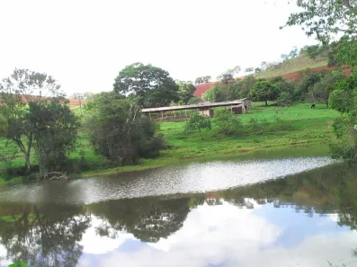 Fazenda/Sítio com 1 Quarto à venda, 16m² no , Silvianópolis