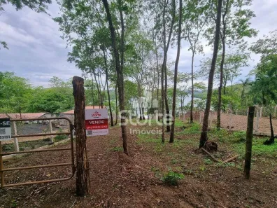 Fazenda/Sítio à venda, 3000m² no Custódio Pereira, Uberlândia
