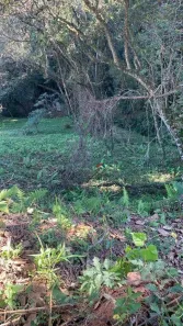 Lote/Terreno à venda, 1363m² no Campo Largo, Jarinu