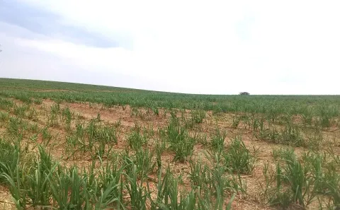 Fazenda/Sítio à venda, 895400m² no , Indianópolis