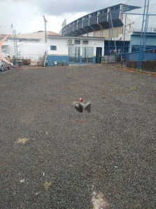 Galpão/Depósito/Armazém para alugar, 32m² no Jardim Palma Travassos, Ribeirão Preto
