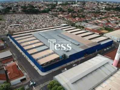 Ponto Comercial para alugar, 11000m² no Centro, Mirassol