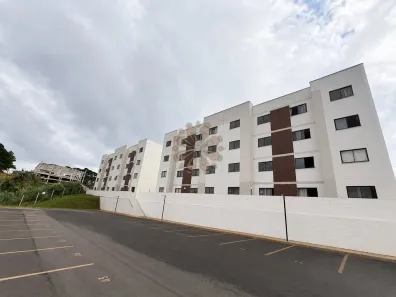 Apartamento com 2 Quartos para alugar, 39m² no Lamenha Grande, Almirante Tamandaré