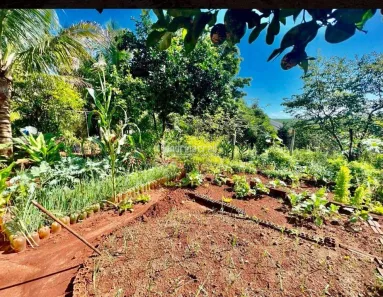 com 2 Quartos à venda, 1575m² no , Jataizinho
