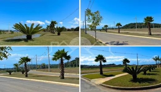Lote/Terreno à venda, 240m² no Itinga, Araquari