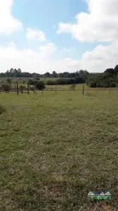 Fazenda/Sítio à venda, 20000m² no Área Rural de Águas Claras, Viamão