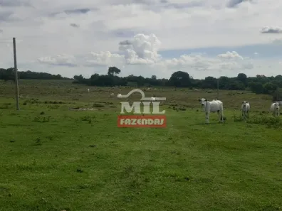Fazenda/Sítio à venda, 500m² no Auriverde, Crixás