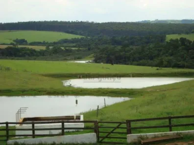 Fazenda/Sítio à venda, 556600m² no Rodeio, Sarapuí