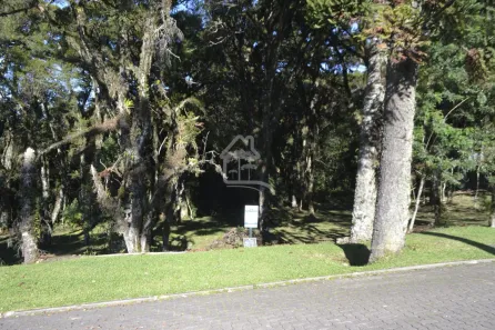 Lote/Terreno à venda, 595m² no Centro, Canela