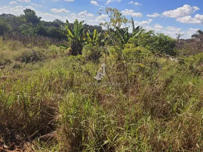 Lote/Terreno à venda, 1556m² no Parque Residencial Tancredi, Americana