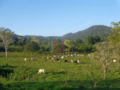 Fazenda/Sítio à venda, 177m² no Inema, Ilhéus