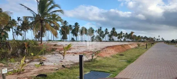 Lote/Terreno à venda, 700m² no Praia do Forte, Mata de São João