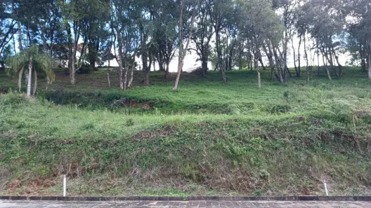 Lote/Terreno à venda, 532m² no Vinhedos, Caxias do Sul