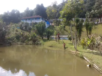 Fazenda/Sítio com 3 Quartos à venda, 10000m² no Curral, Ibiúna