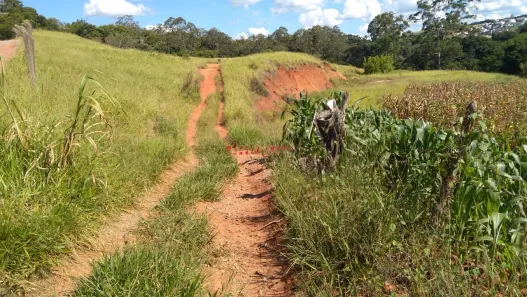 Lote/Terreno à venda, 16000m² no Taboão, Bragança Paulista