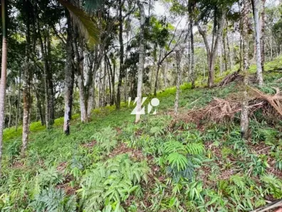 Lote/Terreno à venda, 1530m² no Centro, Santo Amaro da Imperatriz