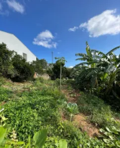 Lote/Terreno à venda, 360m² no Scharlau, São Leopoldo
