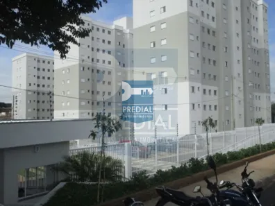 Apartamento com 2 Quartos à venda, 44m² no Recreio São Judas Tadeu, São Carlos