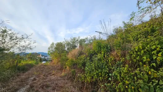 Lote/Terreno à venda, 375m² no Centro, Santo Amaro da Imperatriz
