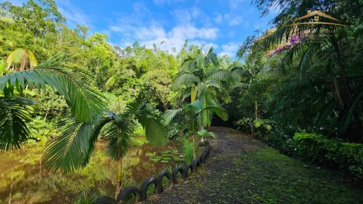 Fazenda/Sítio com 2 Quartos à venda, 400m² no , Morretes