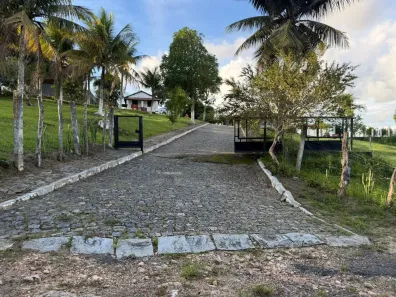 Fazenda/Sítio com 6 Quartos à venda, 8000m² no , Moreno