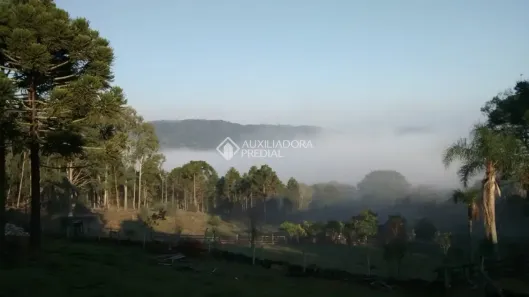 Fazenda/Sítio à venda, 30128m² no , Canela