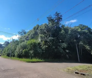 Lote/Terreno à venda, 528m² no Nova Petrópolis, Nova Petrópolis