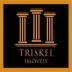 Miniatura da foto de Triksel Imoveis