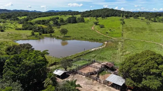 Fazenda/Sítio com 3 Quartos à venda, 1452000m² no , Goiás