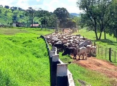 Fazenda/Sítio à venda, 7180140m² no , Pitanga