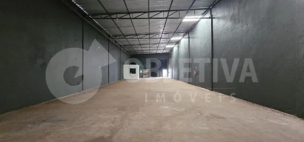 Galpão/Depósito/Armazém para alugar, 375m² no Custódio Pereira, Uberlândia