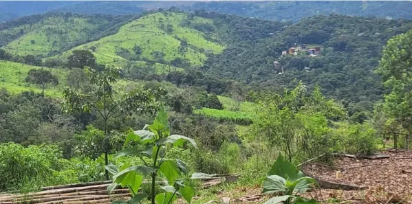 Lote/Terreno à venda, 25000m² no Parque Jardim Amanda, Nova Lima