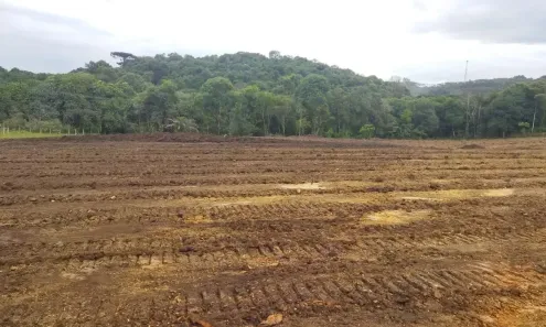 Lote/Terreno à venda, 20000m² no Área Rural de Almirante Tamandaré, Almirante Tamandaré