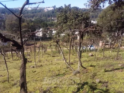 Lote/Terreno à venda, 6691m² no Maestra, Caxias do Sul
