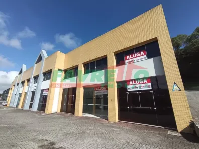 Sala Comercial para alugar, 290m² no Cidade Industrial, Curitiba