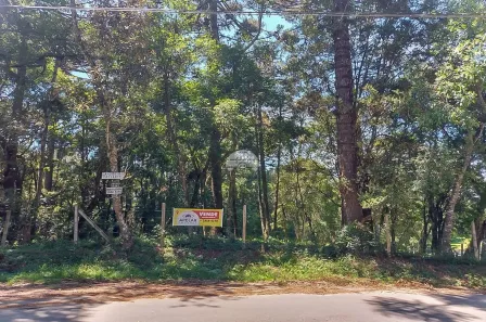 Lote/Terreno à venda, 1124m² no Aristocrata, São José dos Pinhais