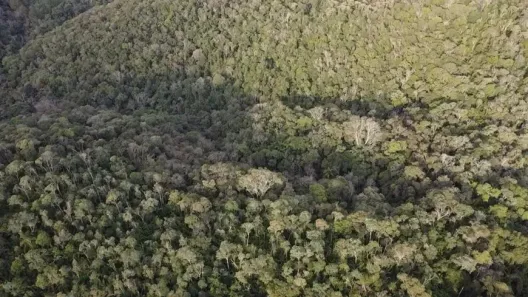 Lote/Terreno à venda, 470000m² no Centro, Antonina