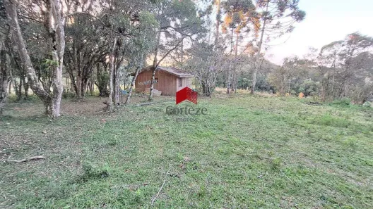 Lote/Terreno à venda, 1000m² no Borda do Campo, São José dos Pinhais