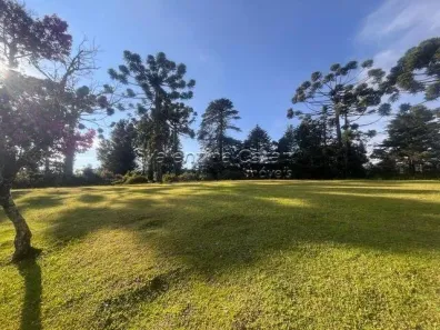 Lote/Terreno à venda, 3300m² no Jardim Primavera, Campos do Jordão
