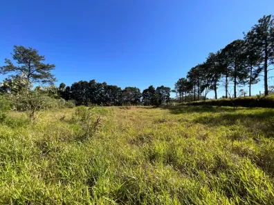 Lote/Terreno à venda, 45000m² no Dona Catarina, Mairinque