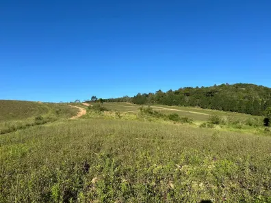 Lote/Terreno à venda, 500m² no Santana, Cotia