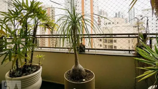 Apartamento com 4 Quartos à venda, 302m² no Vila Regente Feijó, São Paulo