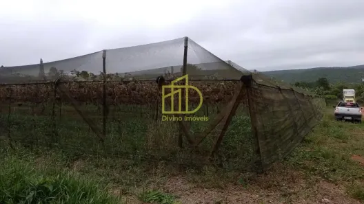 Fazenda/Sítio à venda, 10m² no Vila Sao Joao, São Miguel Arcanjo