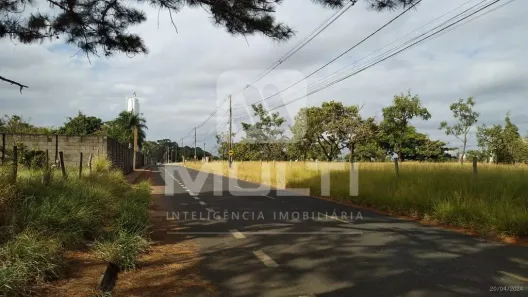 Lote/Terreno com 1 Quarto à venda, 20000m² no Jardim Holanda, Uberlândia