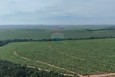 Fazenda/Sítio à venda, 2371600m² no Pederneiras, Pederneiras