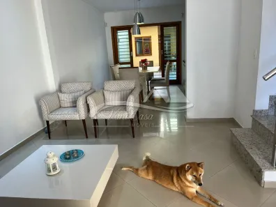 Sobrado com 4 Quartos à venda, 183m² no Cambuci, São Paulo